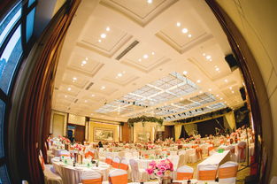 大慶藝群婚慶 以專業匠心，雕琢您的豪華婚禮夢想