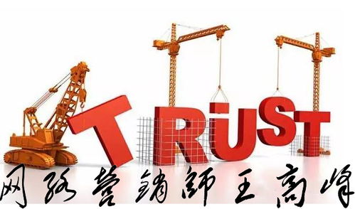 王高峰師自述 網(wǎng)絡文化經營之路，四川網(wǎng)絡營銷師的挑戰(zhàn)與突圍